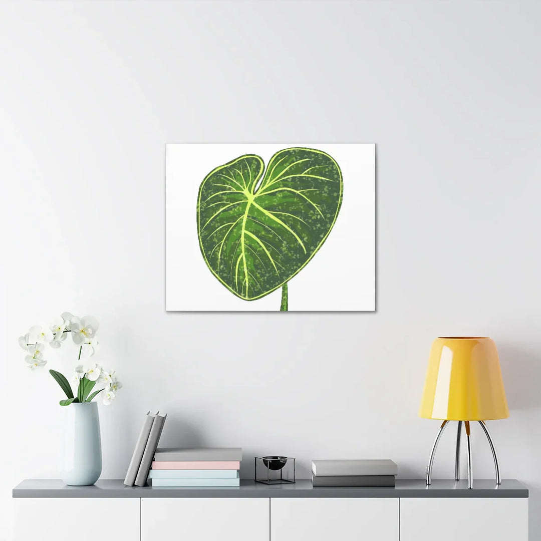 Philodendron Gloriosum Canvas - Stretched Canvas Art Print | Matte Indoor Wall Art - Laura Christine Photography & Design
