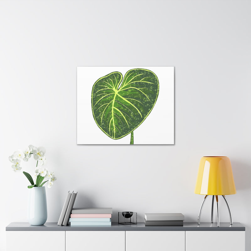 Philodendron Gloriosum Canvas