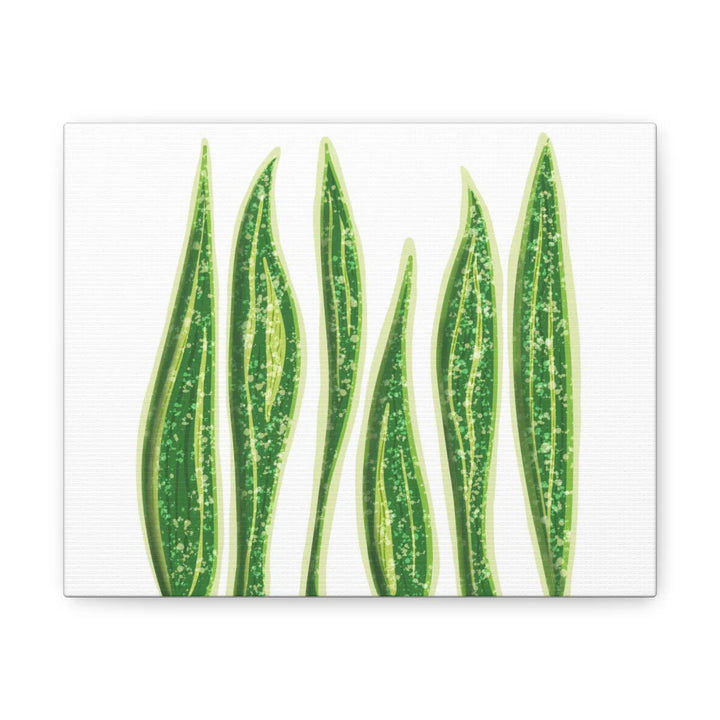 Snake Plant Canvas | Botanical Canvas Decor - Matte Finish Artwork for Living Room - Laura Christine Photography & Design