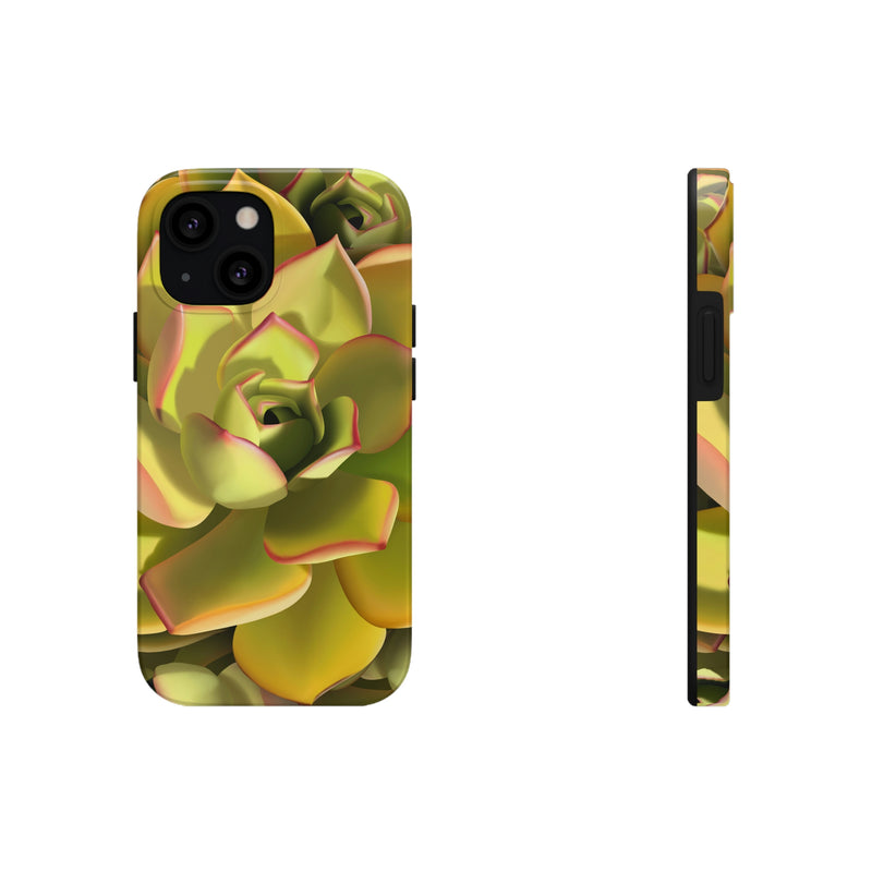 Noble Aeonium Succulent Phone Case, Phone Case, Printify, Accessories, Glossy, iPhone Cases, Matte, Phone accessory, Phone Cases, Samsung Cases, Laura Christine Photography & Design, laurachristinedesign.com