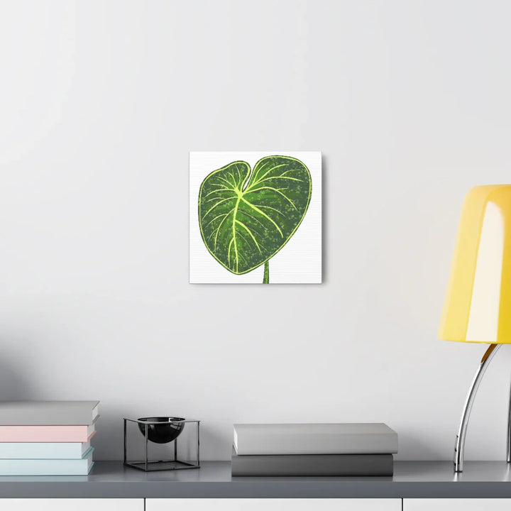 Philodendron Gloriosum Canvas - Stretched Canvas Art Print | Matte Indoor Wall Art - Laura Christine Photography & Design