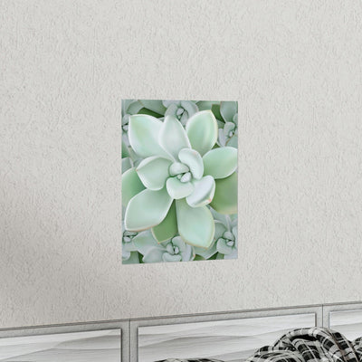 Pachyveria Haagei Succulent Pattern Print, Poster, Printify, Back to School, Home & Living, Indoor, Matte, Paper, Posters, Valentine's Day promotion, Laura Christine Photography & Design, laurachristinedesign.com