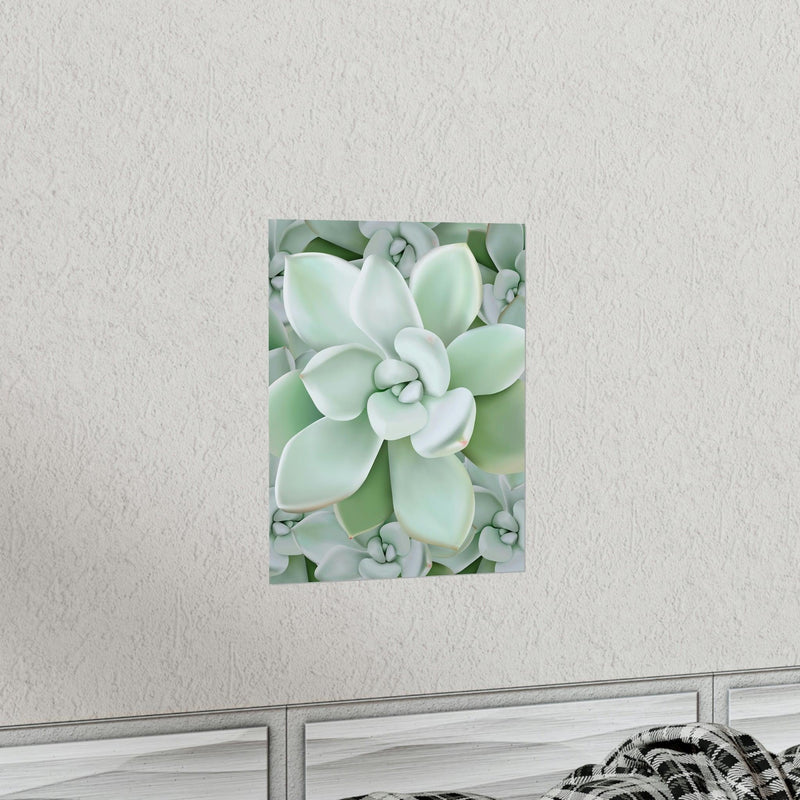 Pachyveria Haagei Succulent Pattern Print, Poster, Printify, Back to School, Home & Living, Indoor, Matte, Paper, Posters, Valentine&