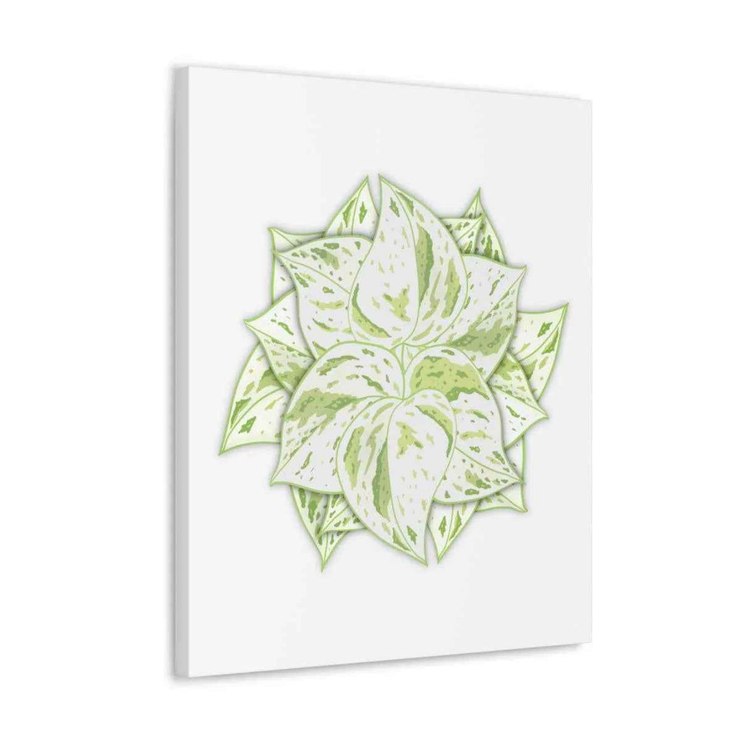 Snow Queen Pothos Canvas – Variegated Leaf Canvas Art Print | Durable Cotton