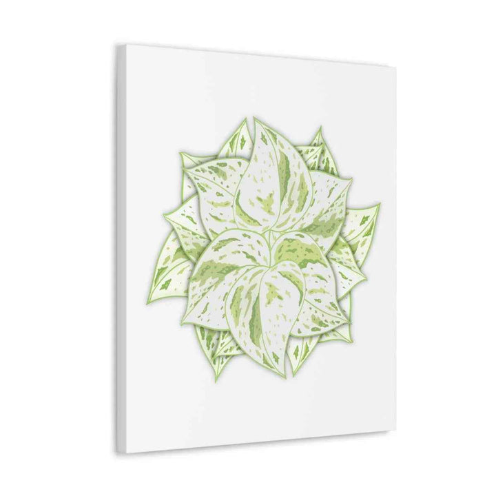 Snow Queen Pothos Canvas – Variegated Leaf Canvas Art Print | Durable Cotton