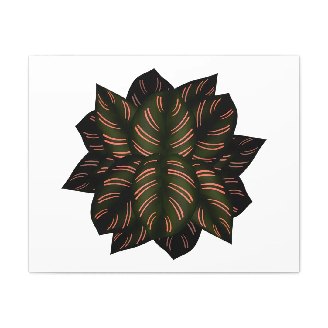 Calathea Pinstripe Canvas – Botanical Canvas Art Print | Matte Finish Wall Decor