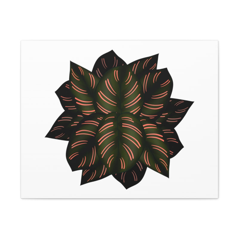 Calathea Pinstripe Canvas