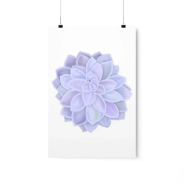 Graptopetalum 'Murasaki' Succulent Print, Poster, Laura Christine Photography & Design, Back to School, Home & Living, Indoor, Matte, Paper, Posters, Valentine's Day promotion, Laura Christine Photography & Design, laurachristinedesign.com