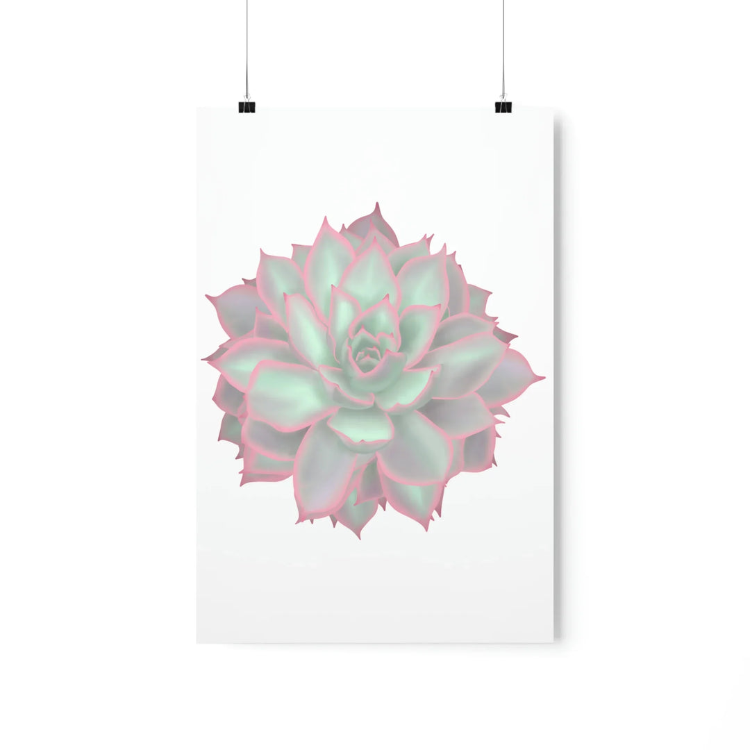 Echeveria Violet Queen Print – Succulent Wall Art | Botanical Poster On Museum Grade Paper