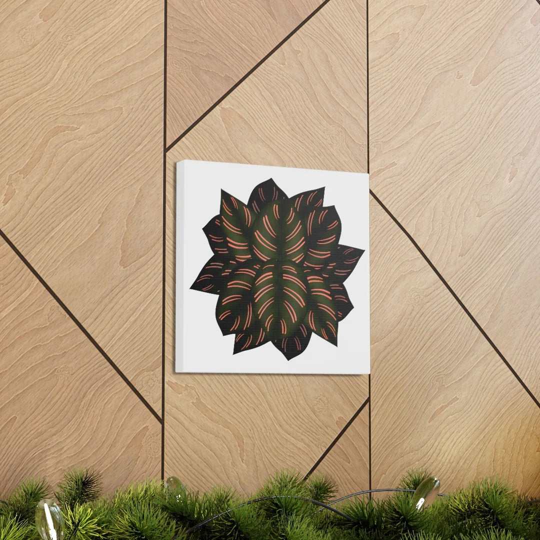 Calathea Pinstripe Canvas – Botanical Canvas Art Print | Matte Finish Wall Decor