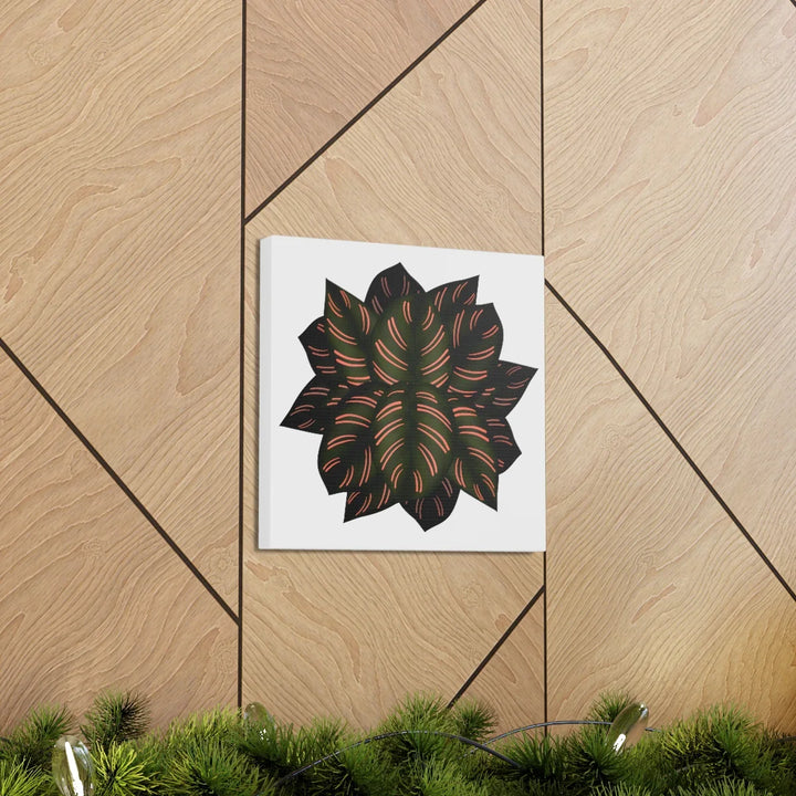 Calathea Pinstripe Canvas – Botanical Canvas Art Print | Matte Finish Wall Decor
