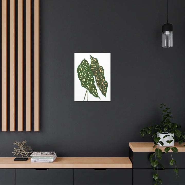 Begonia Maculata Canvas | Premium Canvas Art Print - Matte Finish, Durable Wall Decor - Laura Christine Photography & Design