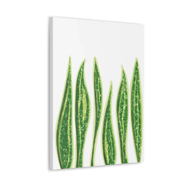 Snake Plant Canvas | Botanical Canvas Decor - Matte Finish Artwork for Living Room - Laura Christine Photography & Design