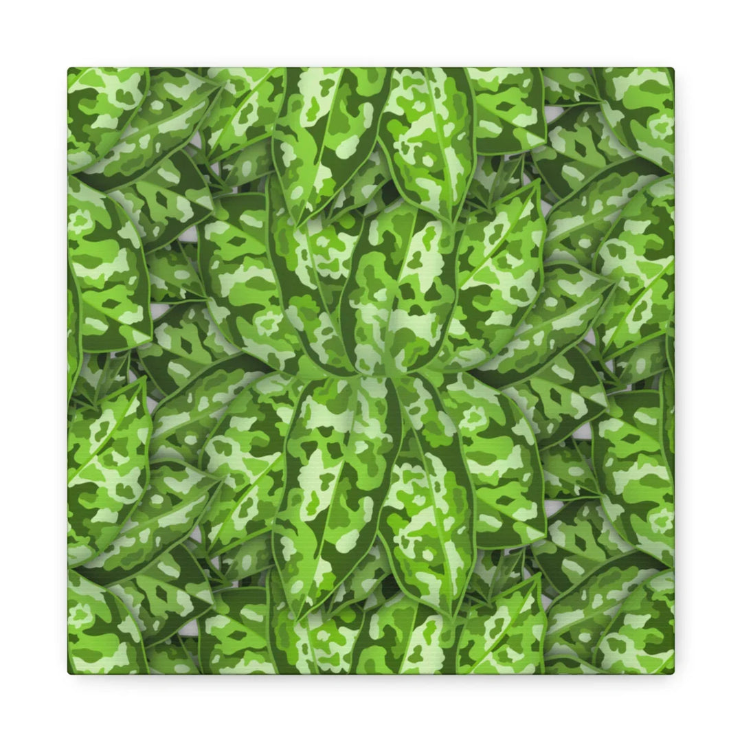 Aglaonema Pictum Canvas - Rare Camouflage Leaf Print Canvas Art Print