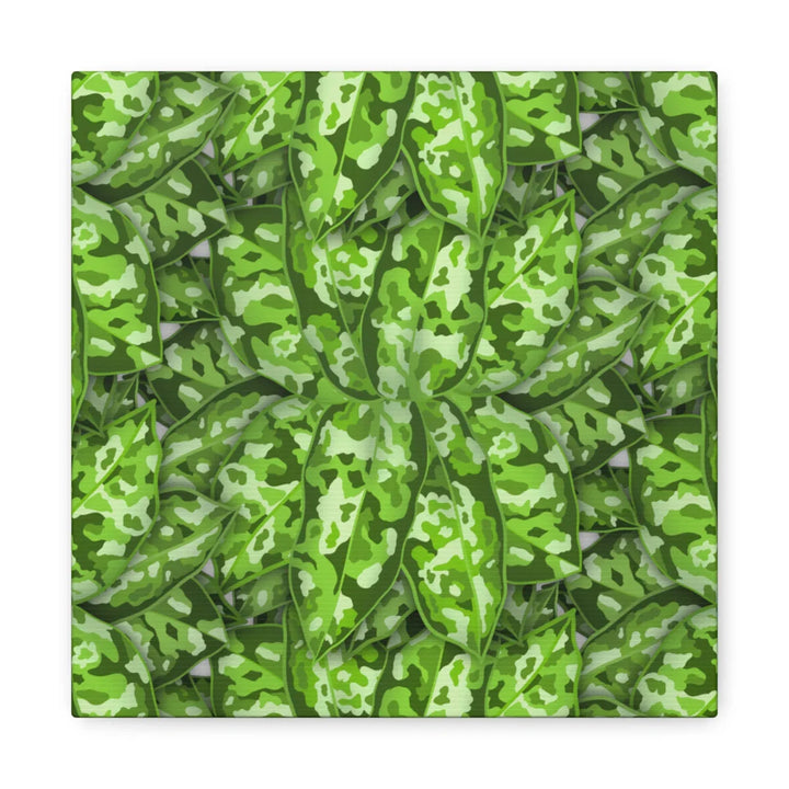 Aglaonema Pictum Canvas - Rare Camouflage Leaf Print Canvas Art Print