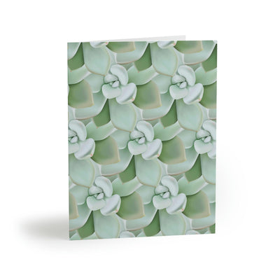Pachyveria Haagei Succulent Pattern Greeting Card, Paper products, Printify, Greeting Card, Holiday Picks, Home & Living, Paper, Postcard, Postcards, Laura Christine Photography & Design, laurachristinedesign.com