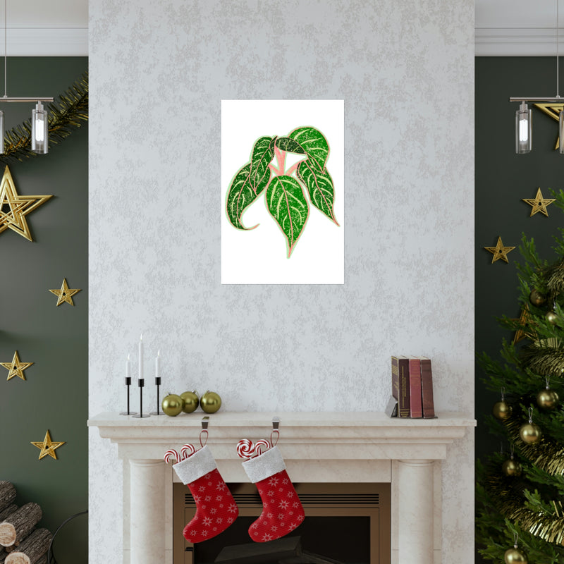 Aglaonema Sparkling Sarah Print