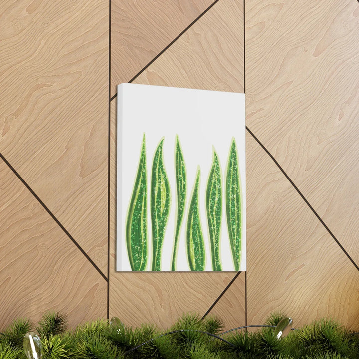 Snake Plant Canvas | Botanical Canvas Decor - Matte Finish Artwork for Living Room - Laura Christine Photography & Design