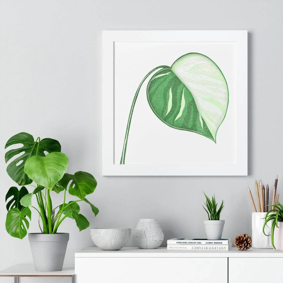 Monstera Albo Framed Print, Poster, Laura Christine Photography & Design, Framed, Home & Living, Indoor, Paper, Posters, Laura Christine Photography & Design, laurachristinedesign.com