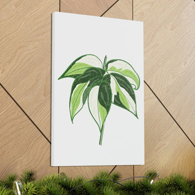 Philodendron 'Cream Splash' Canvas, Canvas, Printify, Art & Wall Decor, Canvas, Hanging Hardware, Home & Living, Indoor, Laura Christine Photography & Design, laurachristinedesign.com