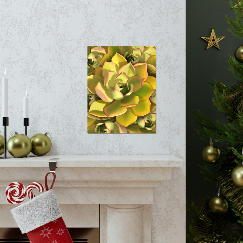 Noble Aeonium Succulent Pattern Print, Poster, Printify, Back to School, Home & Living, Indoor, Matte, Paper, Posters, Valentine&