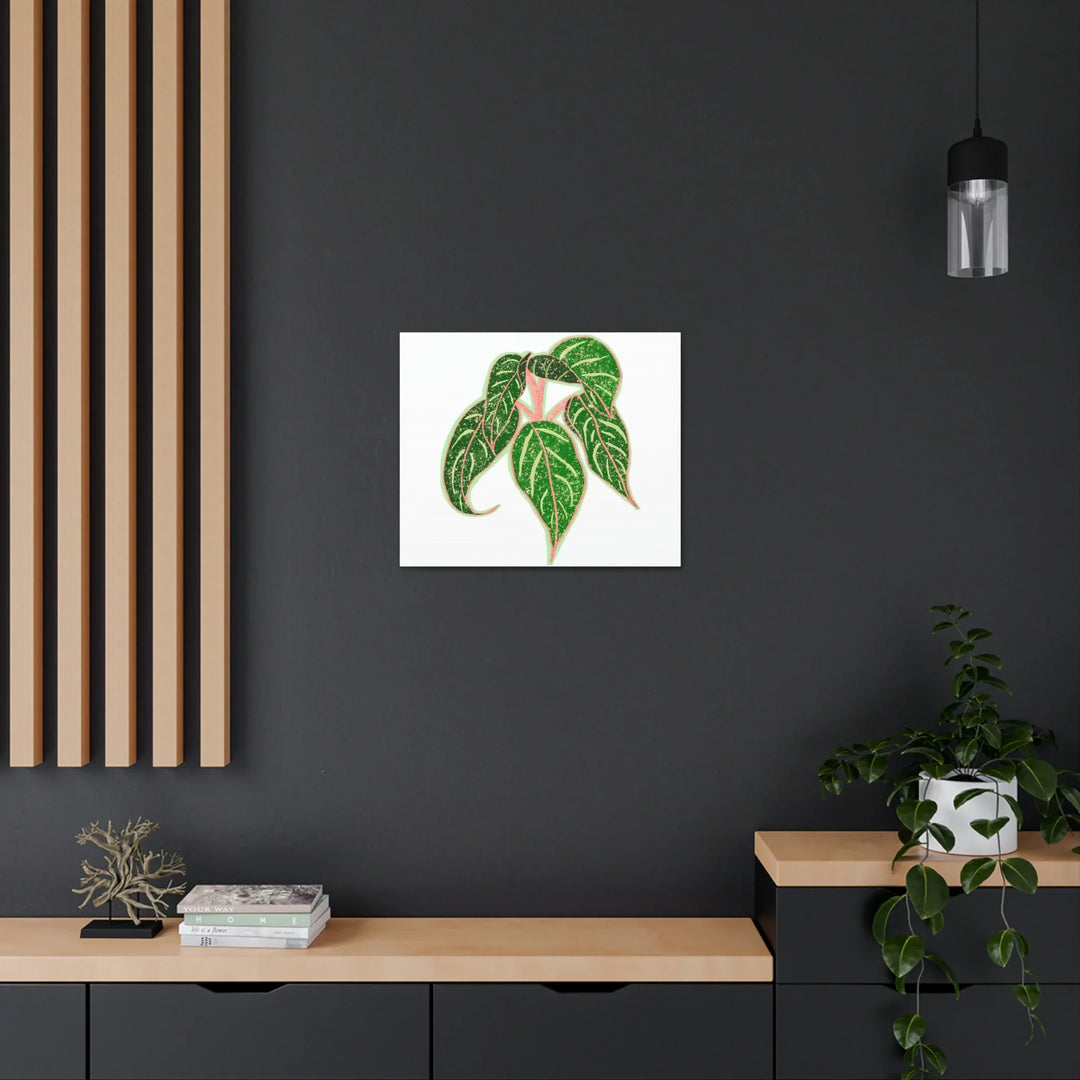 Aglaonema Plant Canvas | Sparkling Plant Artwork - Colorfast Canvas Art Print Decor