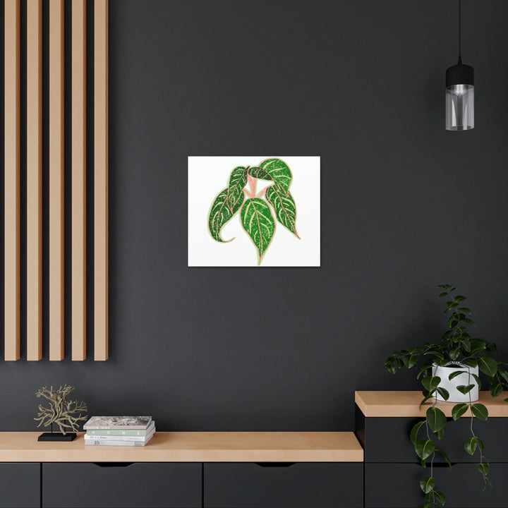 Aglaonema Plant Canvas | Sparkling Plant Artwork - Colorfast Canvas Art Print Decor