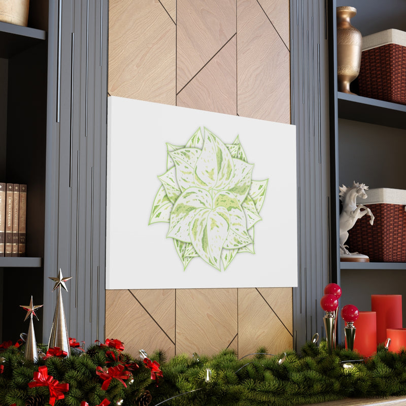 Snow Queen Pothos Canvas