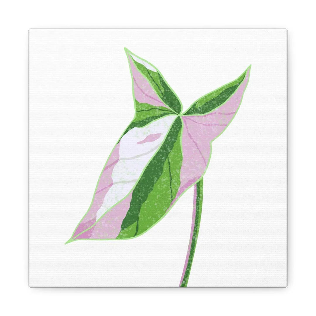 Syngonium Tricolor Canvas | Botanical Canvas Art Print With Matte Finish - Laura Christine Photography & Design