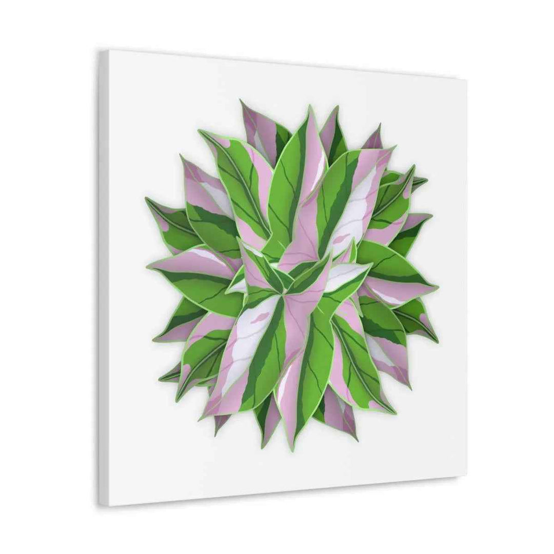 Tricolor Syngonium Canvas - Durable Canvas Art Print With Matte Finish & Botanical Design