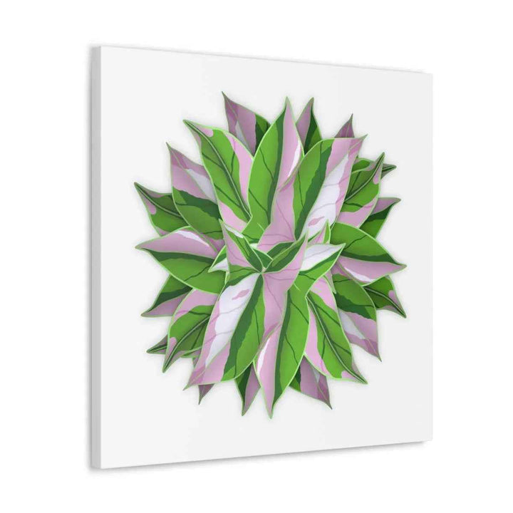 Tricolor Syngonium Canvas - Durable Canvas Art Print With Matte Finish & Botanical Design