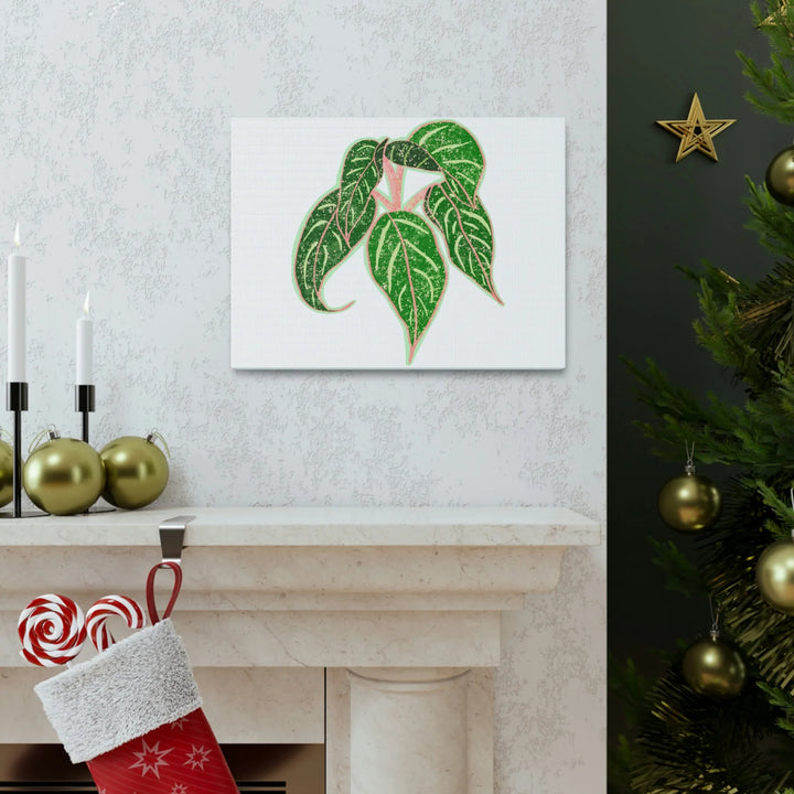 Aglaonema Plant Canvas | Sparkling Plant Artwork - Colorfast Canvas Art Print Decor
