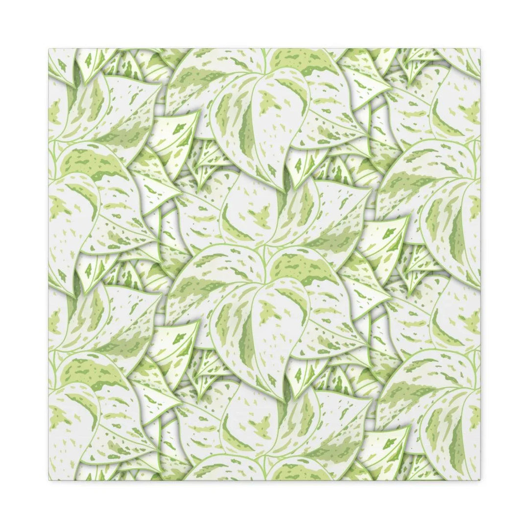 Snow Queen Pothos Canvas, Canvas, Laura Christine Photography & Design, Art & Wall Decor, Canvas, Hanging Hardware, Home & Living, Indoor, Laura Christine Photography & Design, laurachristinedesign.com