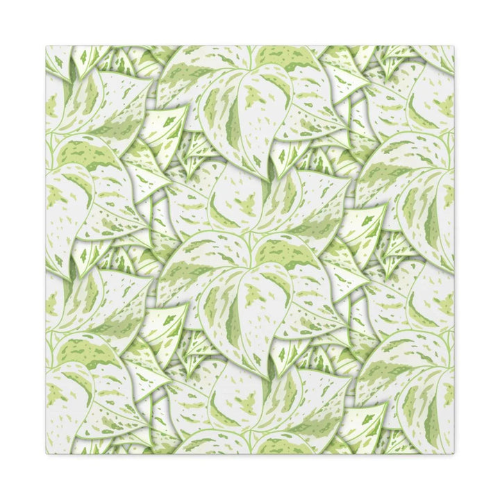 Snow Queen Pothos Canvas, Canvas, Laura Christine Photography & Design, Art & Wall Decor, Canvas, Hanging Hardware, Home & Living, Indoor, Laura Christine Photography & Design, laurachristinedesign.com