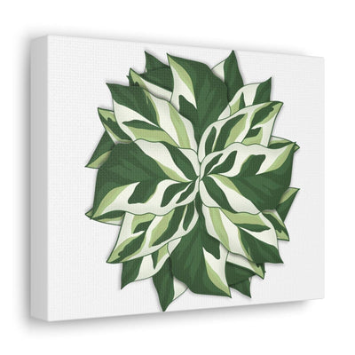 Calathea White Fusion Canvas, Canvas, Laura Christine Photography & Design, Art & Wall Decor, Canvas, Hanging Hardware, Home & Living, Indoor, Laura Christine Photography & Design, 