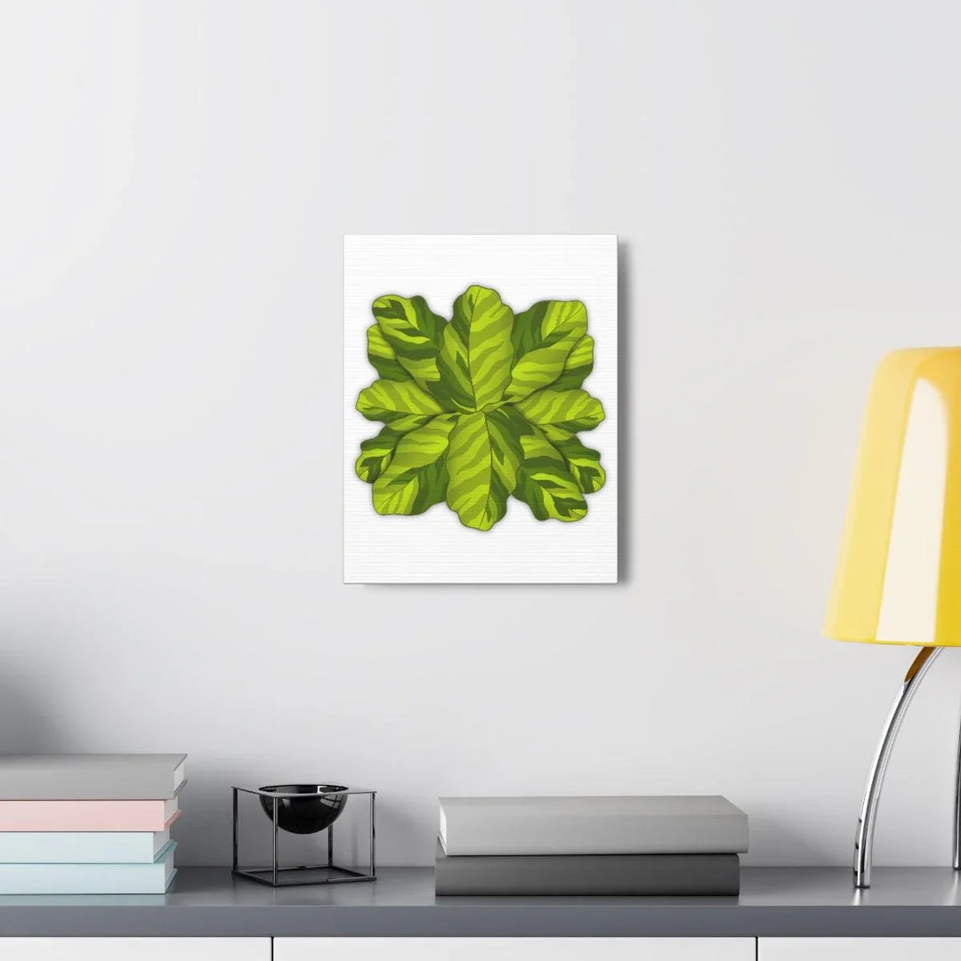 Calathea Yellow Fusion Canvas – Botanical Canvas Print With Unique Leaf Pattern Art - Laura Christine Photography & Design