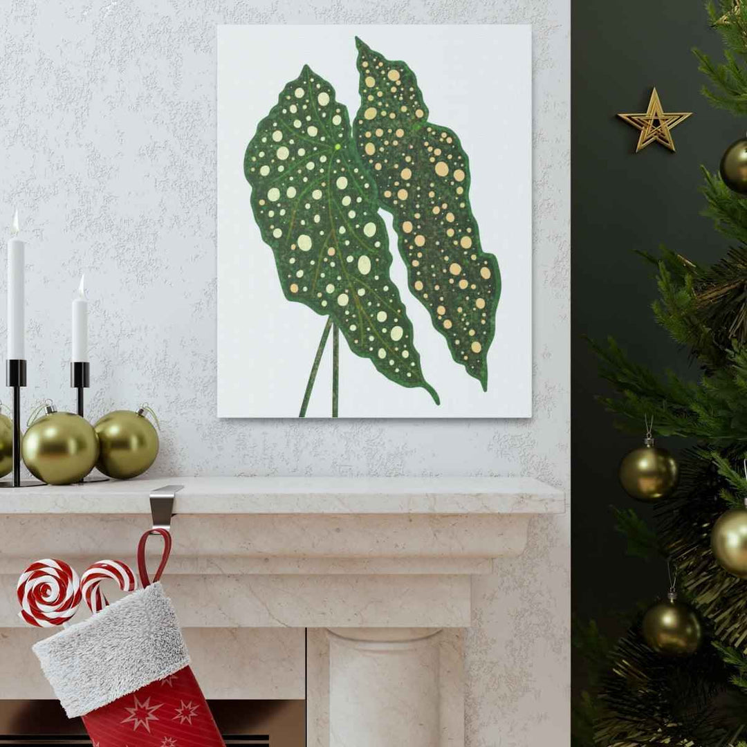 Begonia Maculata Canvas | Premium Canvas Art Print - Matte Finish, Durable Wall Decor