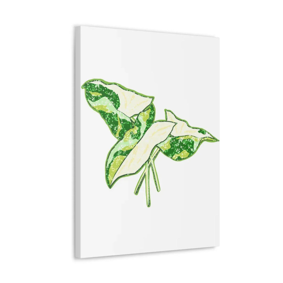 Marble Syngonium Canvas - Botanical Canvas Art Print | Durable Cotton Matte Finish - Laura Christine Photography & Design