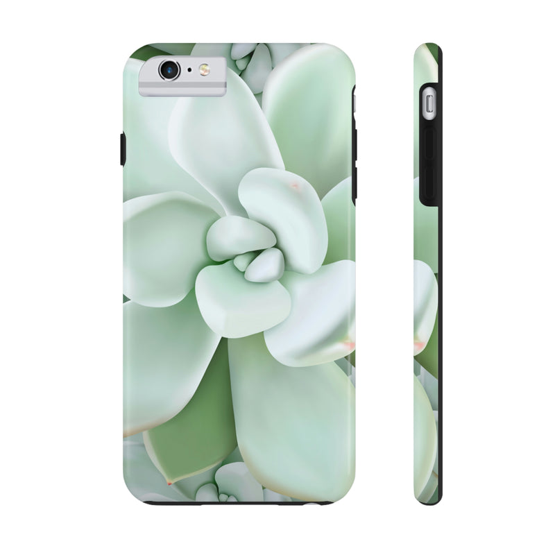 Pachyveria Haagei Succulent Phone Case, Phone Case, Printify, Accessories, Glossy, iPhone Cases, Matte, Phone accessory, Phone Cases, Samsung Cases, Laura Christine Photography & Design, laurachristinedesign.com