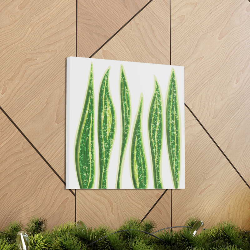 Snake Plant Canvas