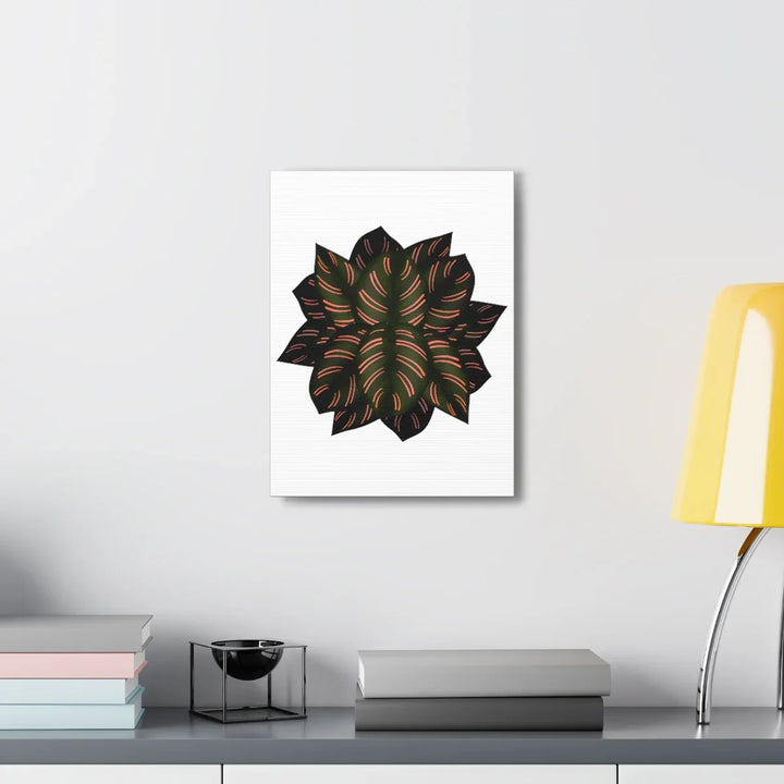 Calathea Pinstripe Canvas – Botanical Canvas Art Print | Matte Finish Wall Decor