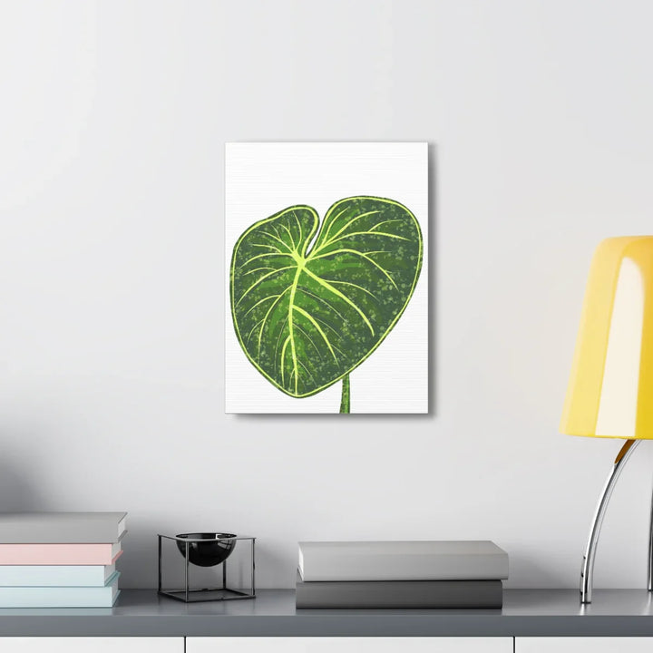Philodendron Gloriosum Canvas - Stretched Canvas Art Print | Matte Indoor Wall Art - Laura Christine Photography & Design