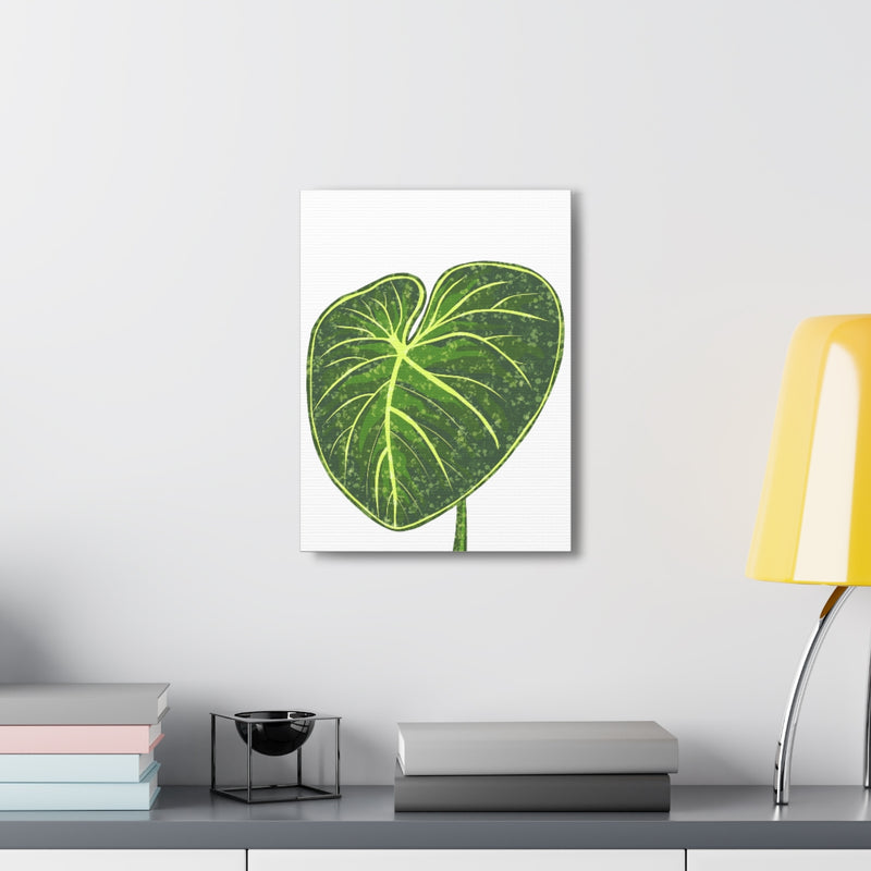 Philodendron Gloriosum Canvas