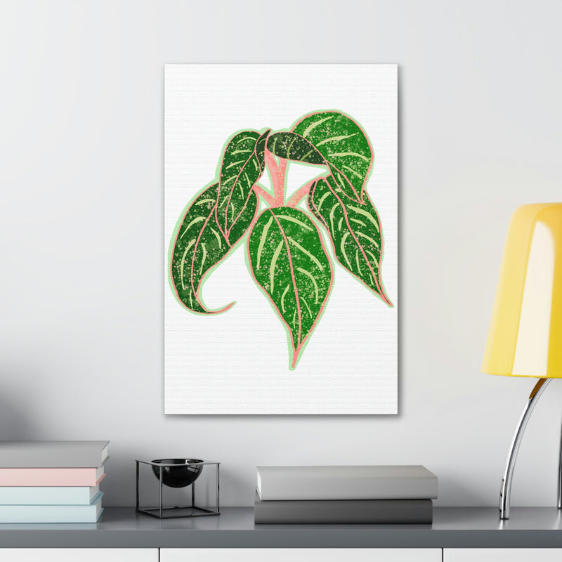 Aglaonema Sparkling Sarah Plant Canvas