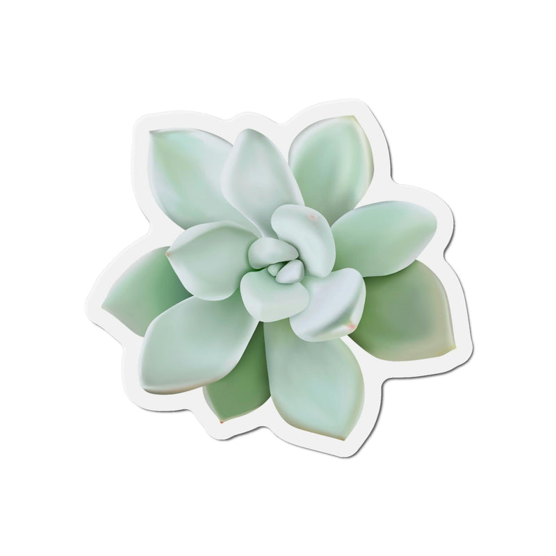 Pachyveria Haagei Succulent Magnets, Home Decor, Printify, Home & Living, Magnets, Magnets & Stickers, Valentine&