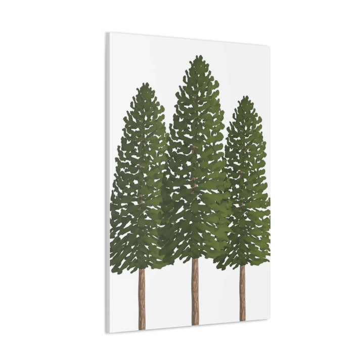 Ponderosa Pine Canvas - Large Stretched Cotton Canvas Art Print With Matte Finish