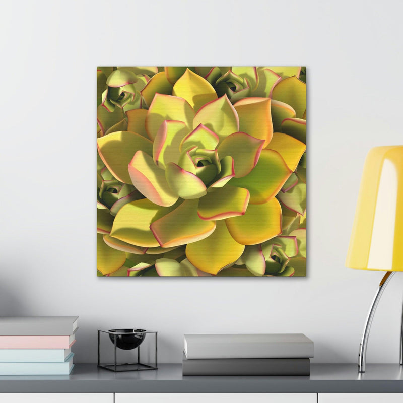 Noble Aeonium Succulent Pattern Canvas, Canvas, Printify, Art & Wall Decor, Canvas, Hanging Hardware, Home & Living, Indoor, Laura Christine Photography & Design, laurachristinedesign.com