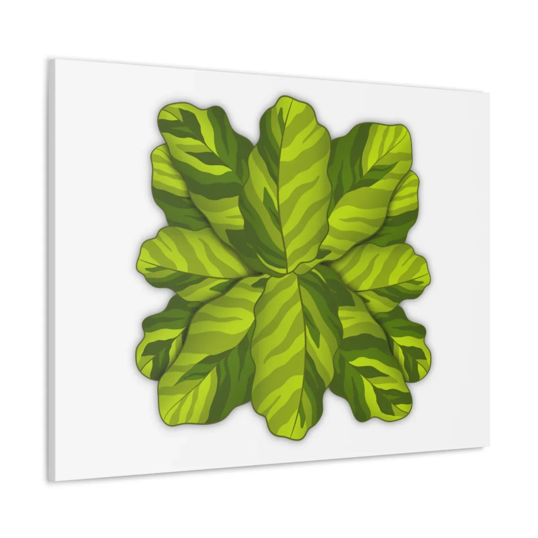 Calathea Yellow Fusion Canvas – Botanical Canvas Print With Unique Leaf Pattern Art - Laura Christine Photography & Design