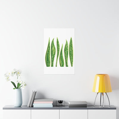 Snake Plant Print, Poster, Laura Christine Photography & Design, Back to School, Home & Living, Indoor, Matte, Paper, Posters, Valentine's Day promotion, Laura Christine Photography & Design, laurachristinedesign.com