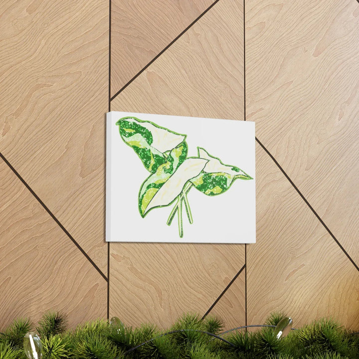 Marble Syngonium Canvas - Botanical Canvas Art Print | Durable Cotton Matte Finish - Laura Christine Photography & Design